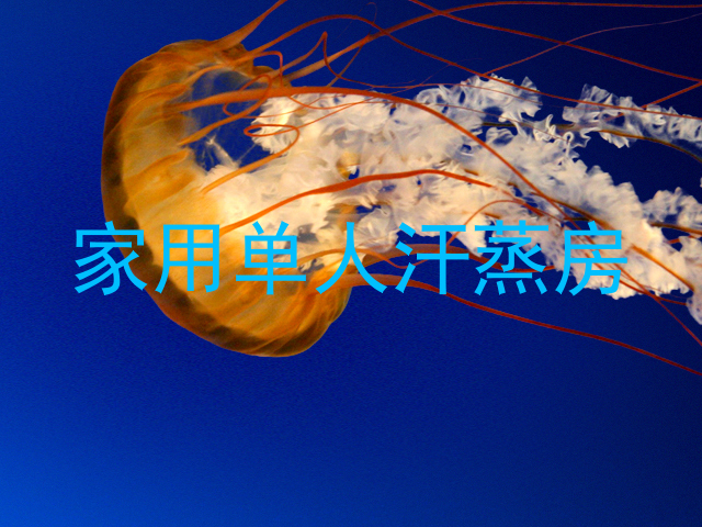 家用单人汗蒸房