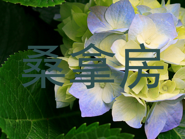 桑拿房