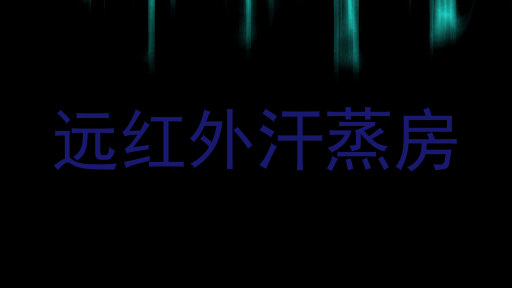 远红外汗蒸房