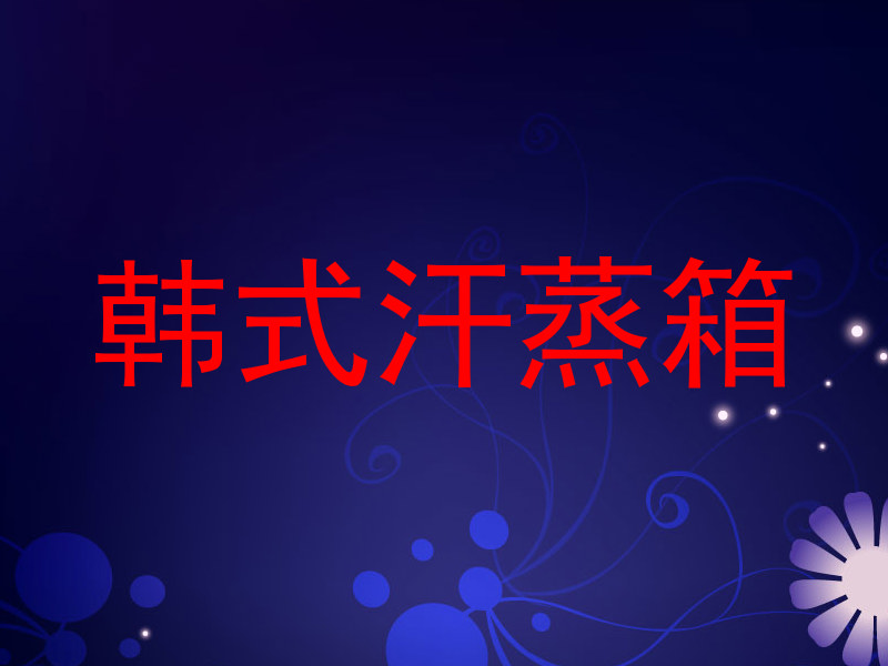 韩式汗蒸箱