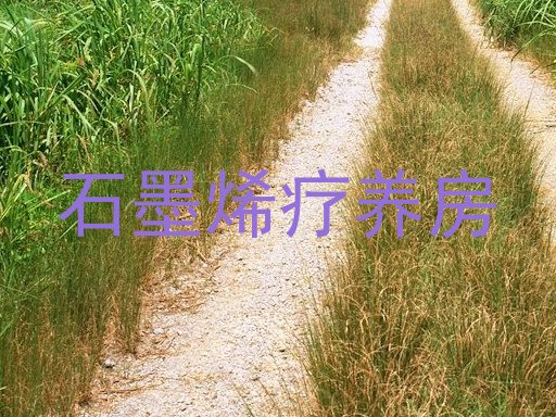 石墨烯疗养房