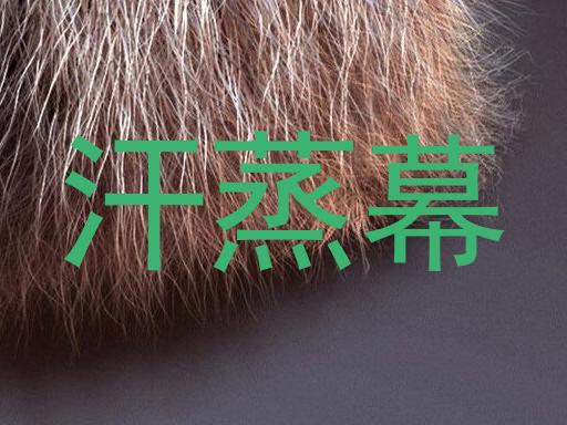 汗蒸幕