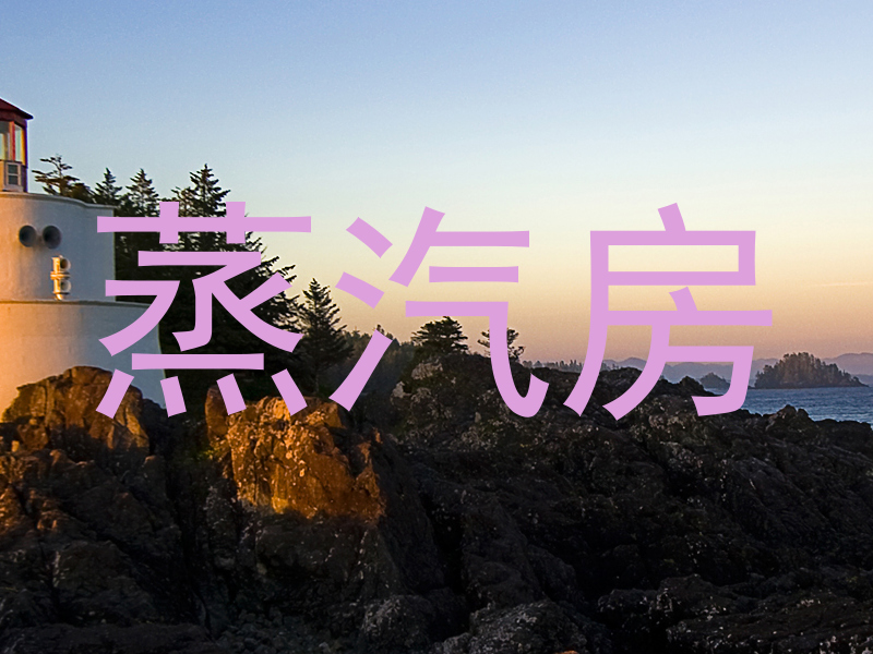 蒸汽房