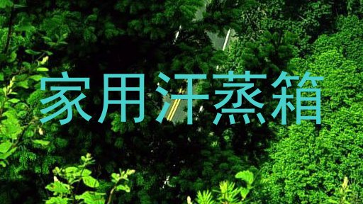 家用汗蒸箱