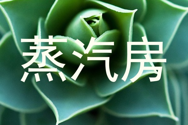 蒸汽房