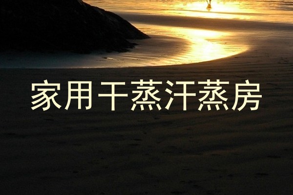 家用干蒸汗蒸房