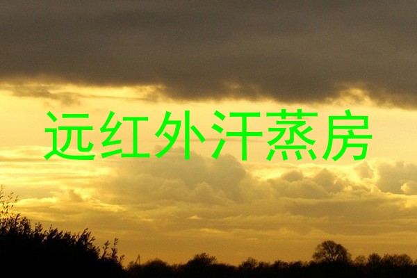 远红外汗蒸房