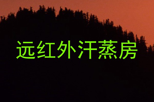 远红外汗蒸房