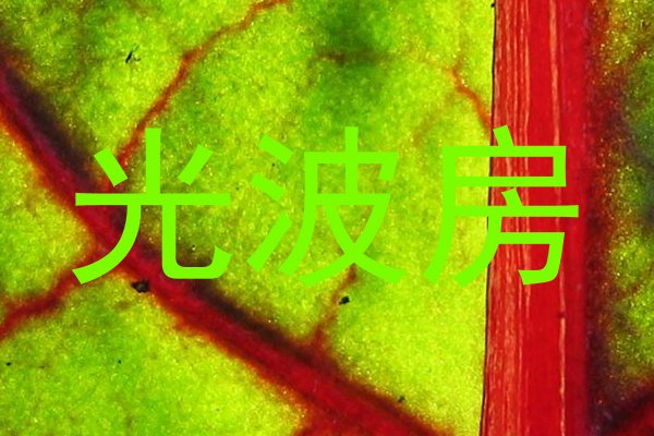 光波房