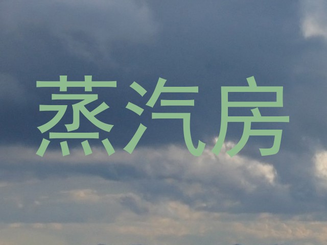 蒸汽房