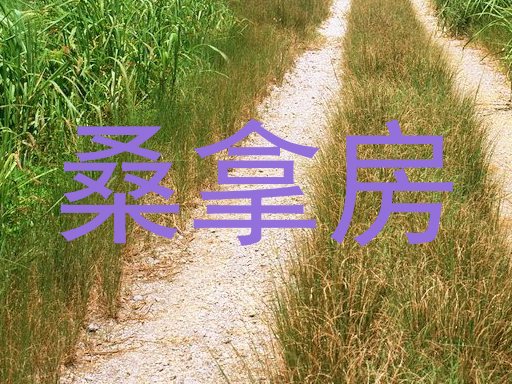 桑拿房