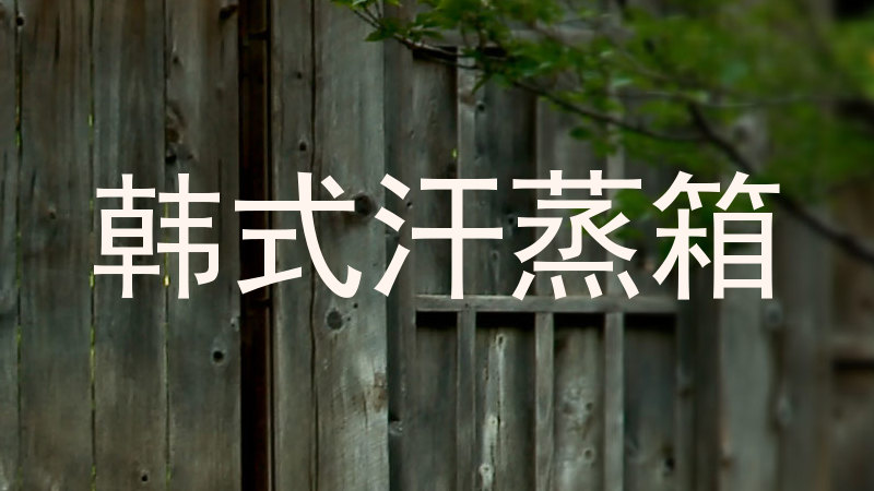 韩式汗蒸箱