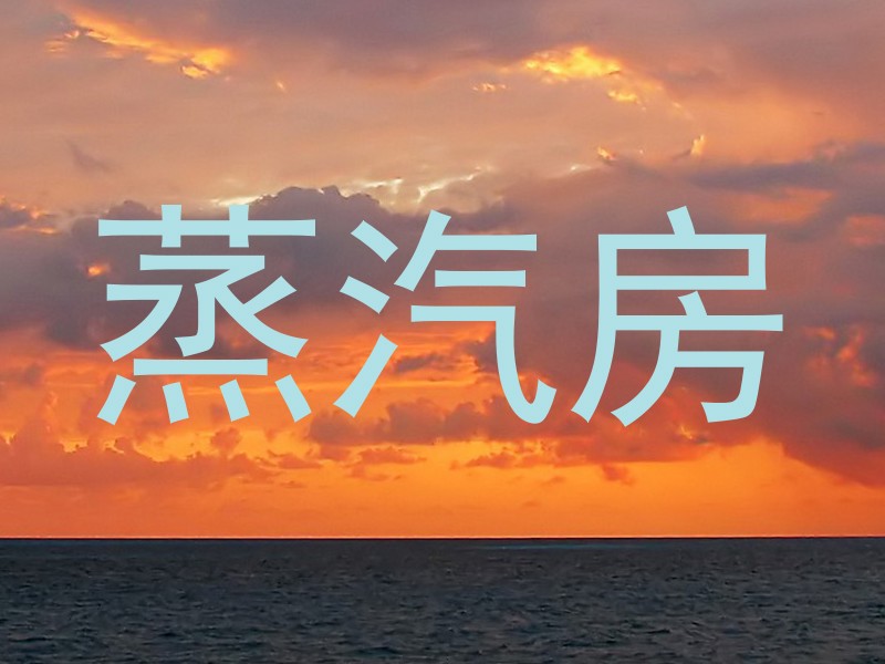 蒸汽房