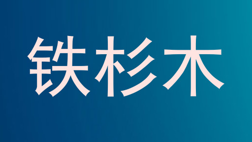 铁杉木