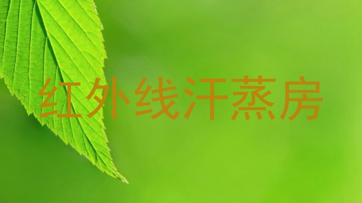 红外线汗蒸房