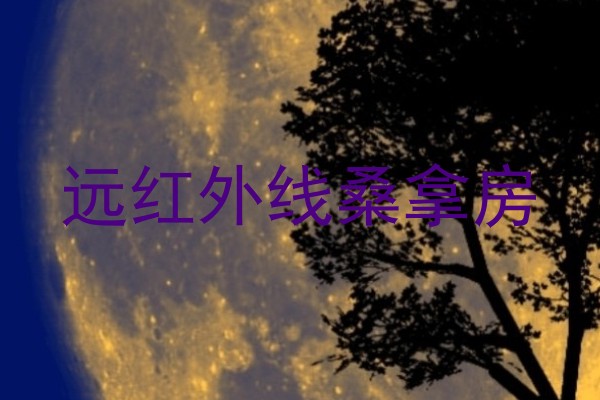 远红外线桑拿房