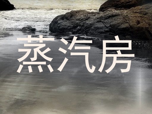 蒸汽房