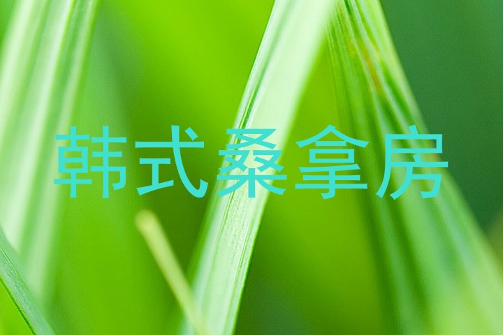韩式桑拿房