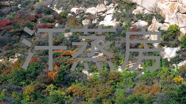 汗蒸房