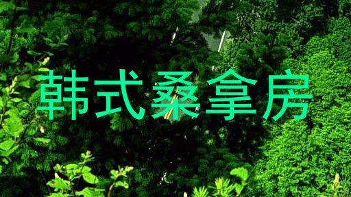 韩式桑拿房