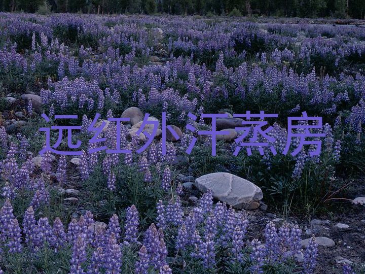 远红外汗蒸房