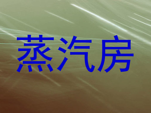 蒸汽房