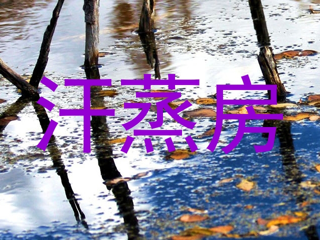 汗蒸房