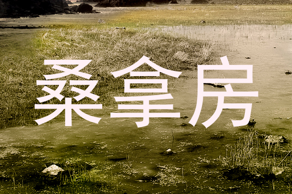 桑拿房