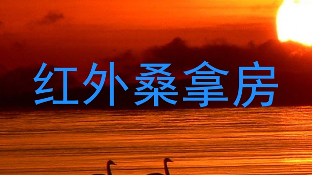 红外桑拿房