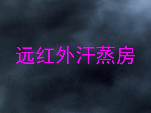 远红外汗蒸房
