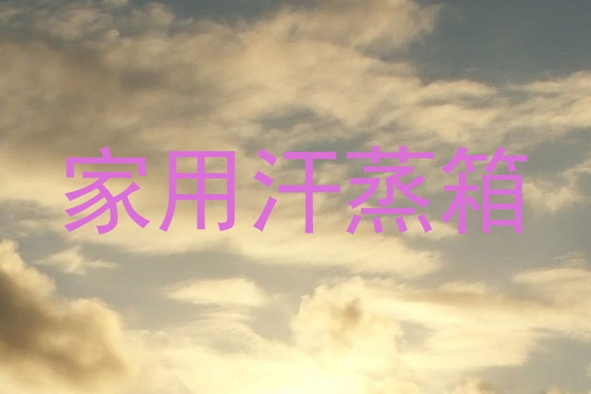 家用汗蒸箱