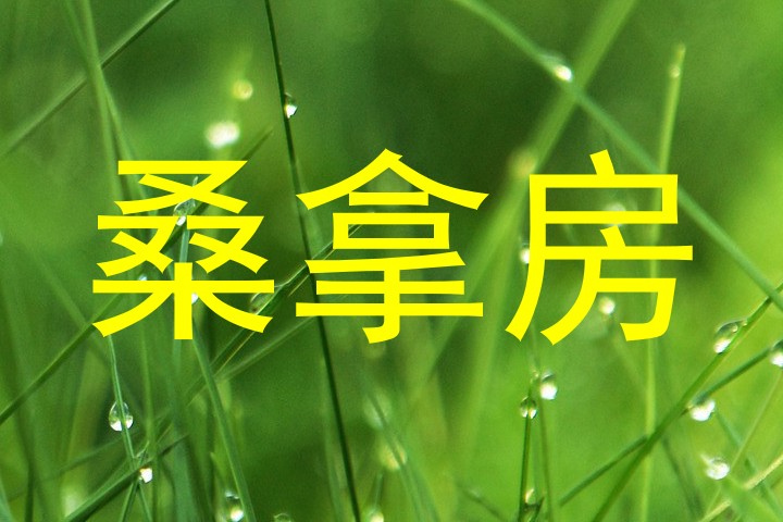 桑拿房