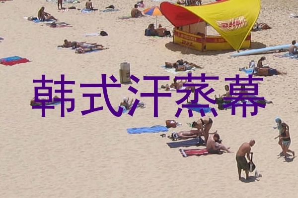 韩式汗蒸幕