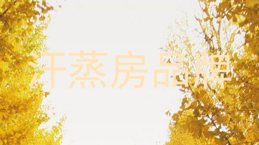 汗蒸房品牌