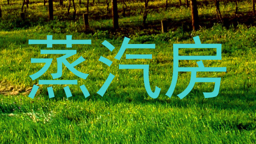 蒸汽房