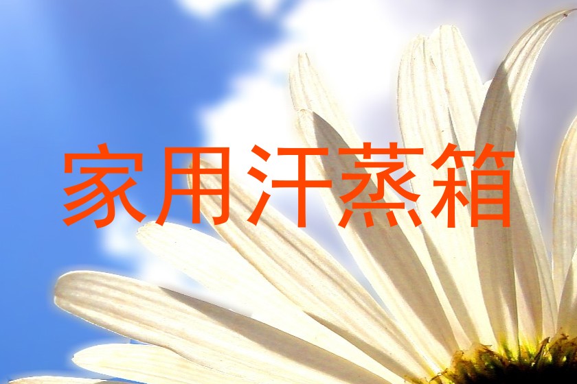 家用汗蒸箱