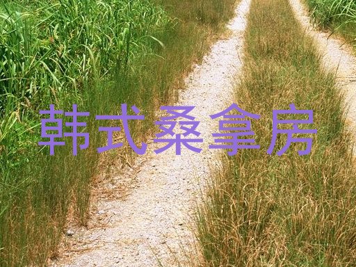 韩式桑拿房