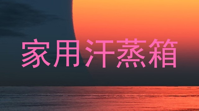 家用汗蒸箱