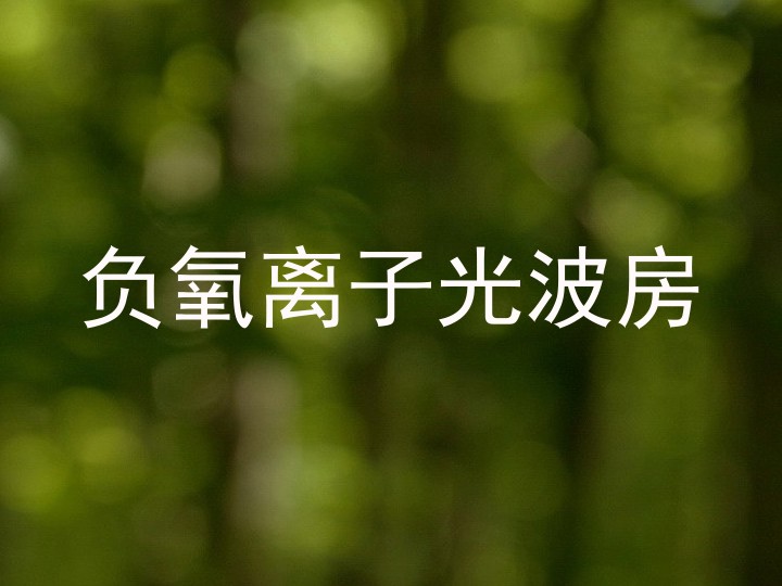 负氧离子光波房