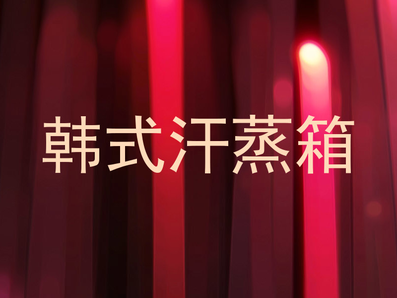 韩式汗蒸箱