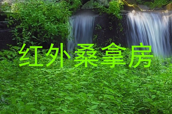 红外桑拿房