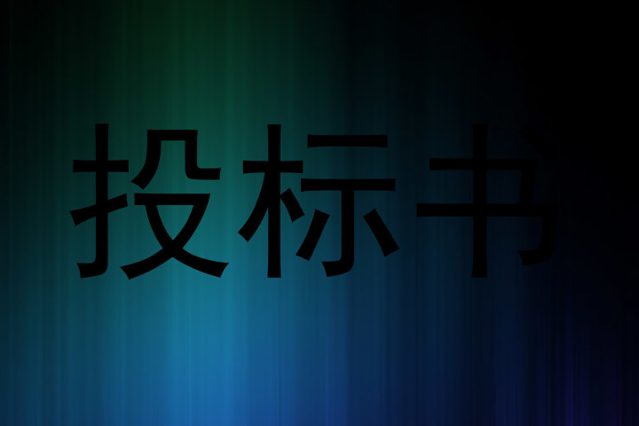 投标书
