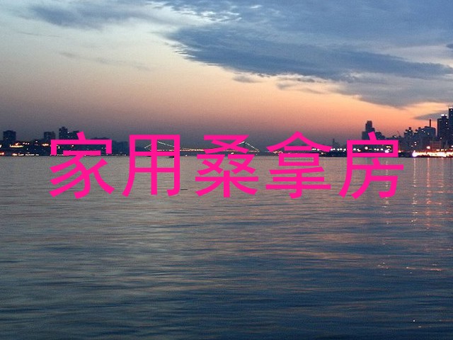 家用桑拿房