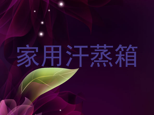 家用汗蒸箱