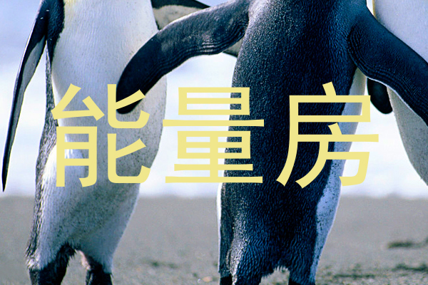 能量房