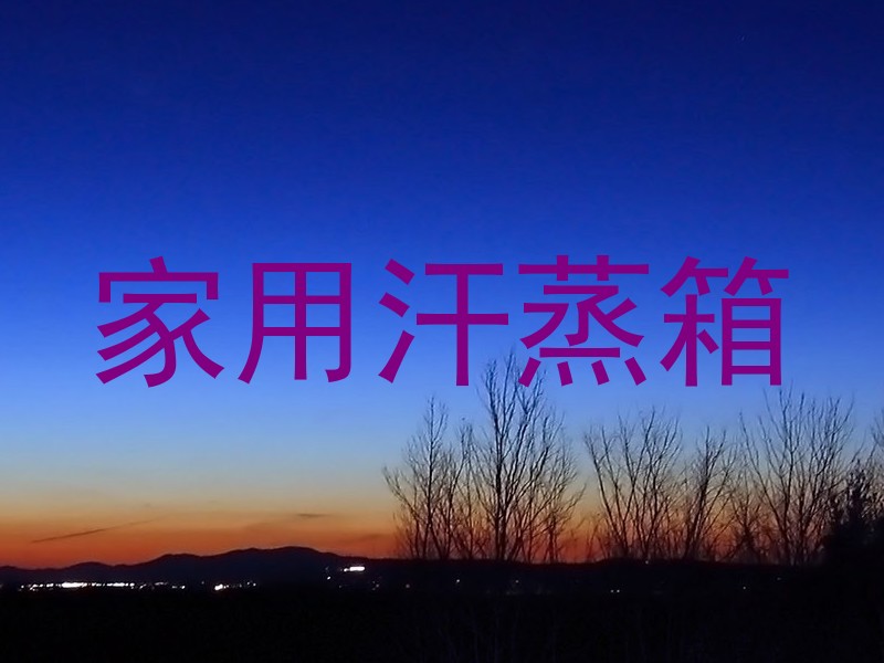 家用汗蒸箱