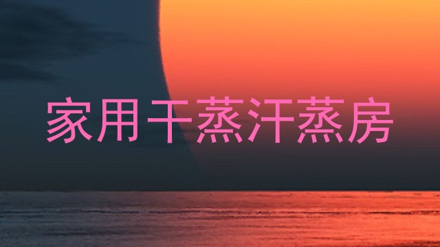 家用干蒸汗蒸房