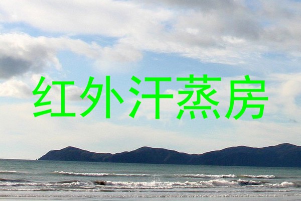 红外汗蒸房