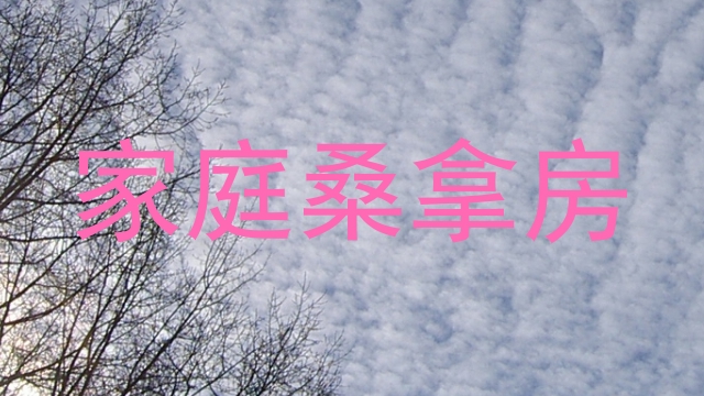 家庭桑拿房