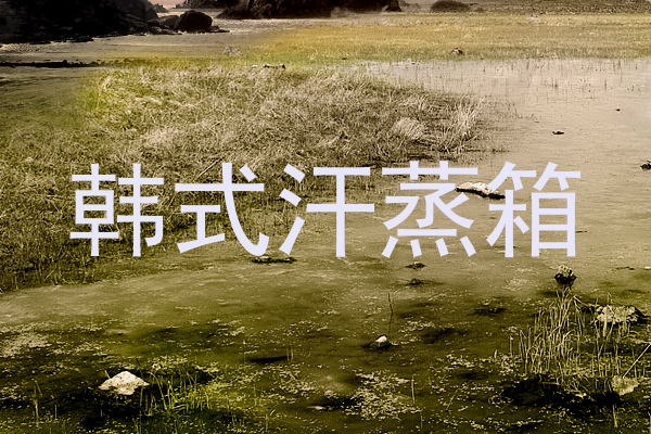 韩式汗蒸箱